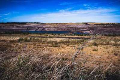 Argo Blockchain Sees Mining Revenue Rise Tenfold in 2019